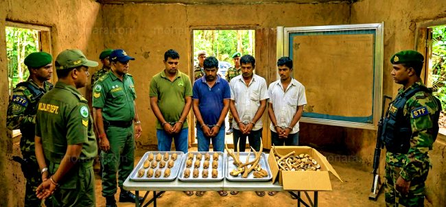 වනජීවී සහ STF මෙහෙයුමෙන් වටිනා සත්ව කොටස් සමග 4ක් කොටුවෙයි වනජීවී සහ STF මෙහෙයුමෙන් වටිනා සත්ව කොටස් සමග 4ක් කොටුවෙයි