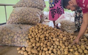 නුවරඑළිය ගොවීන් සිය අර්තාපල් අස්වැන්න රජයට ලබා දෙයි. රජයෙන් අල කිලෝවකට රු. 220 ක සහතික මිලක්!