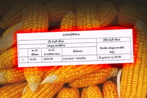 ආනයනික බඩඉරිඟු සඳහා පනවා ඇති වෙළෙඳ භාණ්ඩ බද්ද ඉහළට