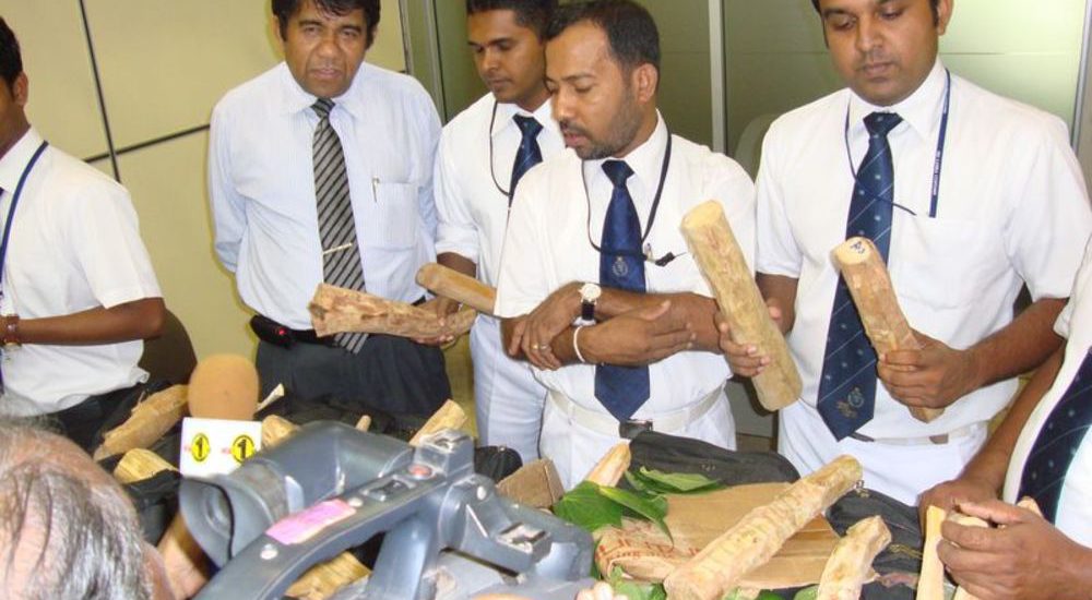 කෝටි 4ක මත්ද්රව්ය රේගුවෙන් අල්ලයි කෝටි 4ක මත්ද්රව්ය රේගුවෙන් අල්ලයි