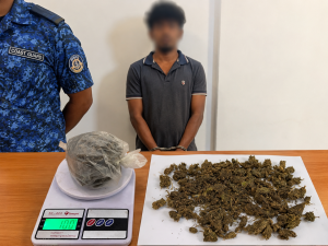 කේරළ ගංජා සමඟ සැකකරුවෙකු අත්අඩංගුවට