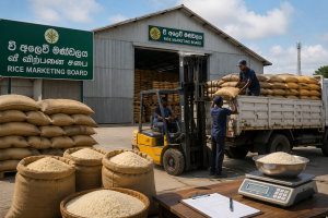 වී අලෙවි මණ්ඩලයේ වී තොග අලෙවියට කැබිනට් අනුමැතිය වී අලෙවි මණ්ඩලයේ වී තොග අලෙවියට කැබිනට් අනුමැතිය