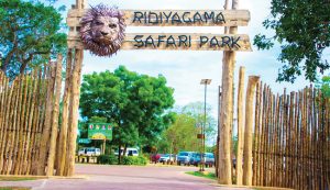 අක්රීයව තිබූ රිදියගම සමනල උද්යානයට අලුත් ජීවයක් අක්රීයව තිබූ රිදියගම සමනල උද්යානයට අලුත් ජීවයක්