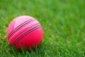 ටෙස්ට් ක්‍රිකට් තරගවලදී රතු පැහැති පන්දුව වෙනුවට රෝස පැහැති පන්දුව භාවිත කිරීමට ICC අනුමැතිය ලැබෙයි